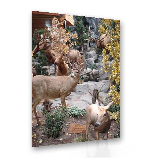 Asssigment12_3D postcard_guzman